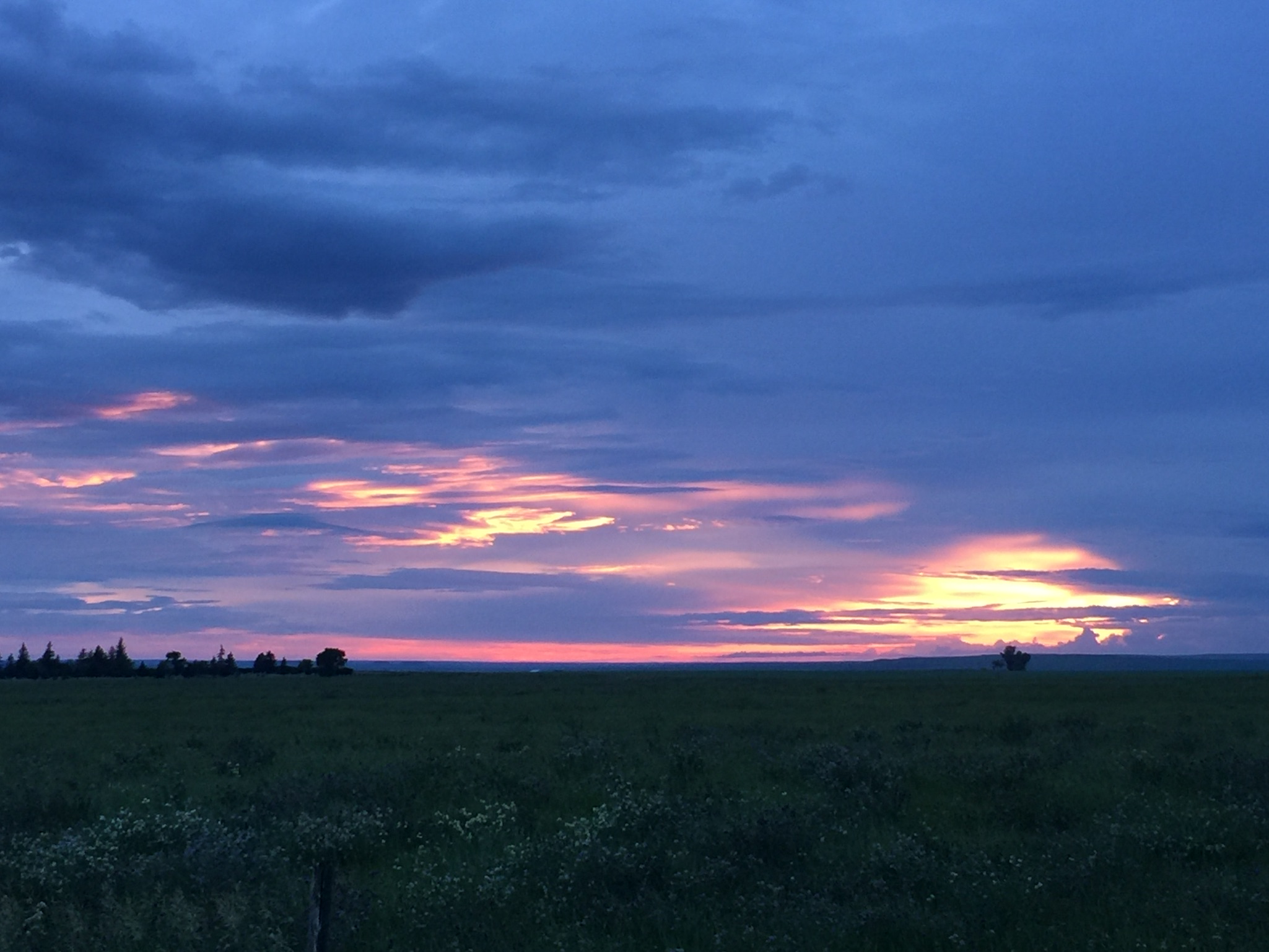 012b8a709ad7a610b7e2b1f7b9be0be155c0bf27de